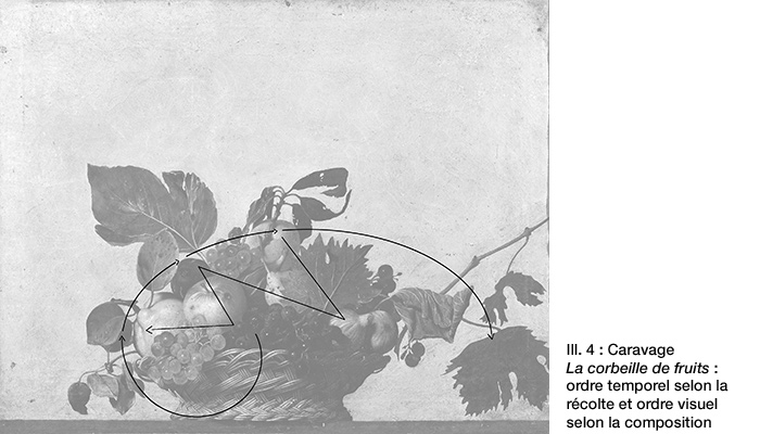 Temporalité de récolte versus temporalité visuelle de La Corbeille de fruits du Caravage
